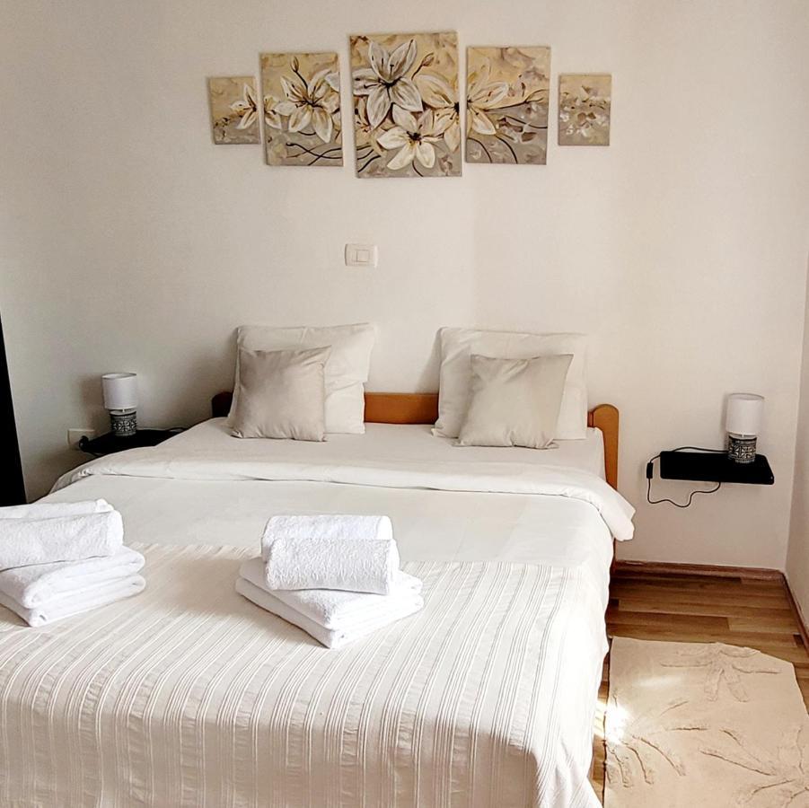 Apartman Rocky Petrovija Buitenkant foto